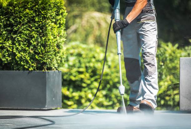 Best Rust Removal  in Timberville, VA