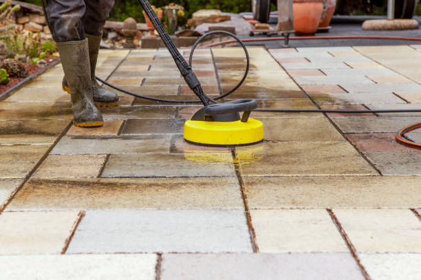 Best Animal Enclosure Cleaning  in Timberville, VA
