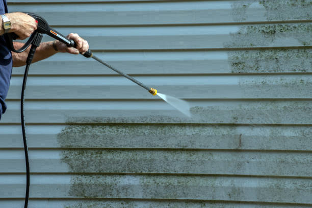Best Pool Deck Cleaning  in Timberville, VA