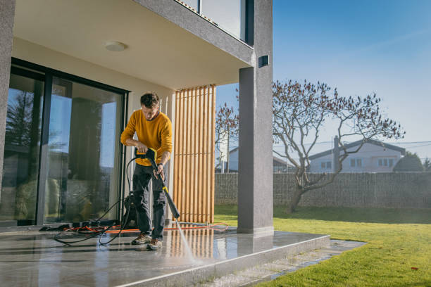 Best Solar Panel Cleaning  in Timberville, VA