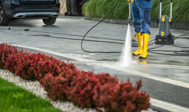 Animal Enclosure Cleaning in Timberville, VA